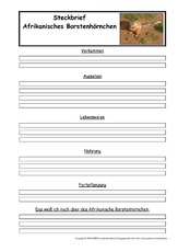 Afrikanisches-Borstenhörnchen-Steckbriefvorlage.pdf